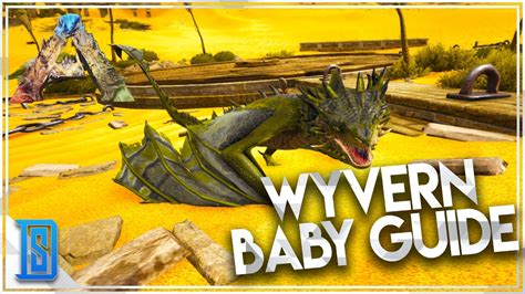 ark raising wyvern|best way to raise wyvern.